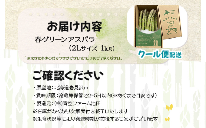 【先行予約/令和7年産】北海道岩見沢産　春グリーンアスパラ　2Lサイズ 1kg [a129-003]