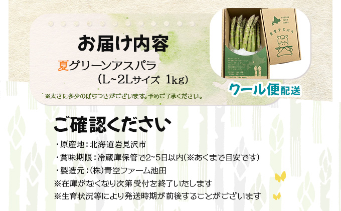 【先行予約／令和8年産】北海道岩見沢産　夏グリーンアスパラ　L～2Lサイズ 1kg【41104】[a129-002]
