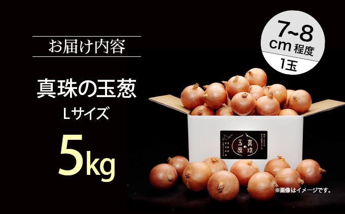 真珠の玉葱 Lサイズ5kg ≪海のミネラルで育てた玉葱≫【50103】[a134-003]
