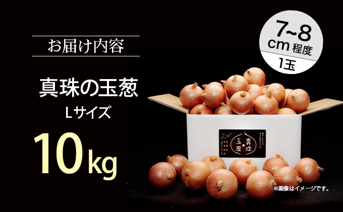 真珠の玉葱 Lサイズ10kg ≪海のミネラルで育てた玉葱≫【50104】[a134-004]