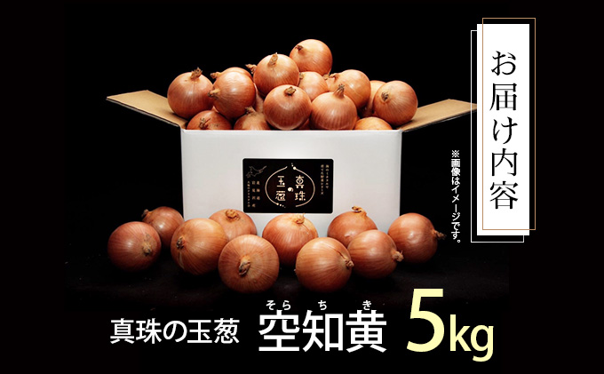 真珠の玉葱 空知黄 5kg ≪海のミネラルで育てた幻の玉葱空知黄≫【50105】[a134-005]