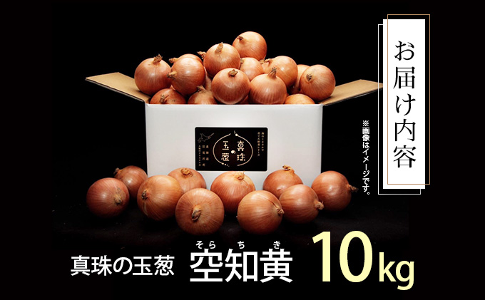 真珠の玉葱 空知黄10kg ≪海のミネラルで育てた幻の玉葱空知黄≫【50106】[a134-006]