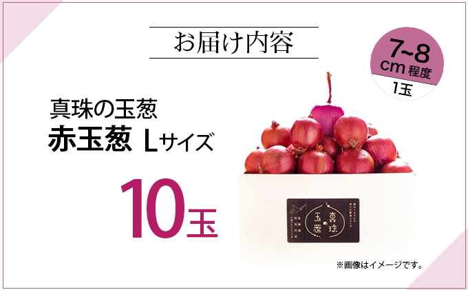 真珠の玉葱 赤玉葱Lサイズ10玉 ≪海のミネラルで育てた特別栽培玉葱≫【50107】[a134-007]