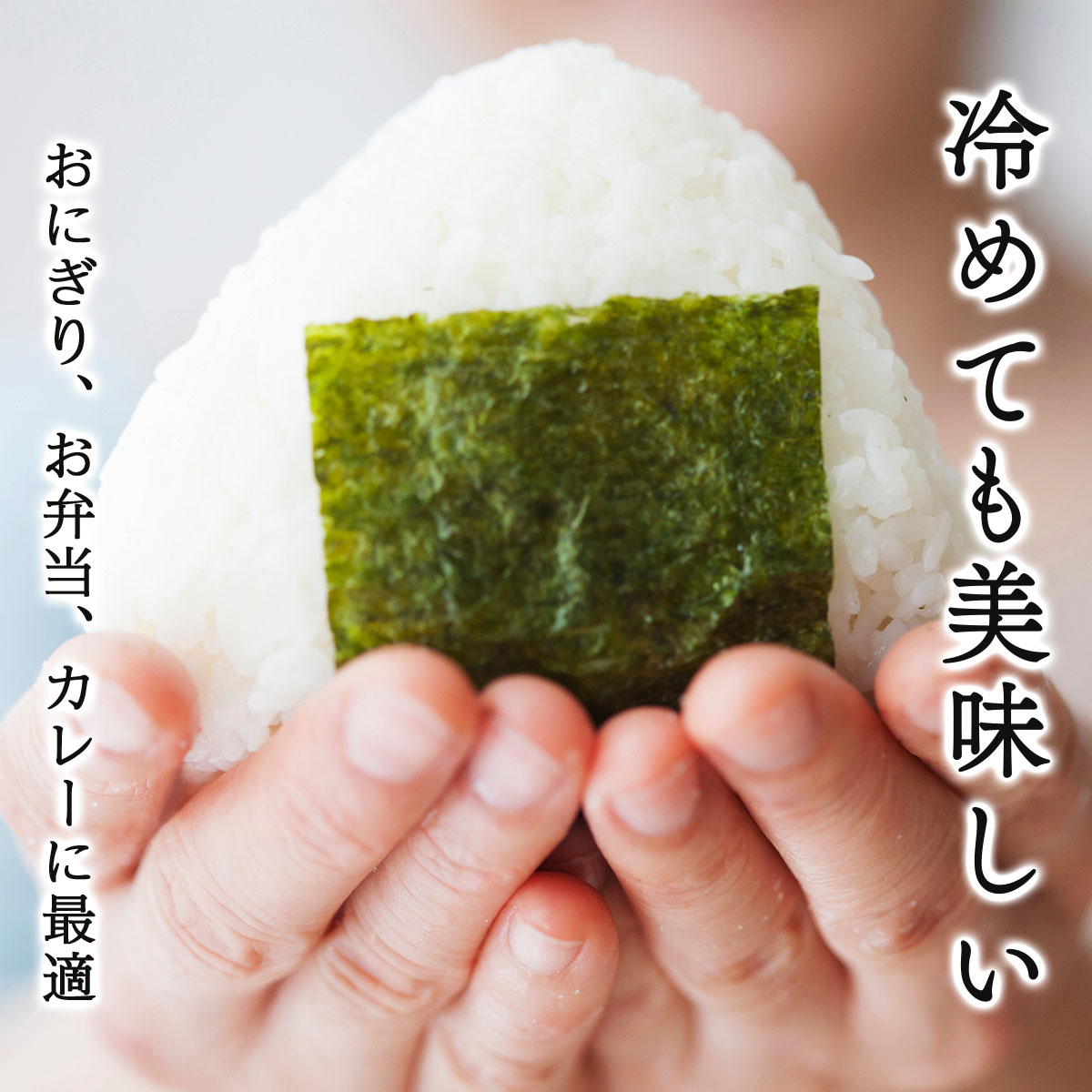 令和7年産 北海道 岩見沢市産 おぼろづき 精米 5kg ≪沖縄・離島配送不可≫ a124-034-R7