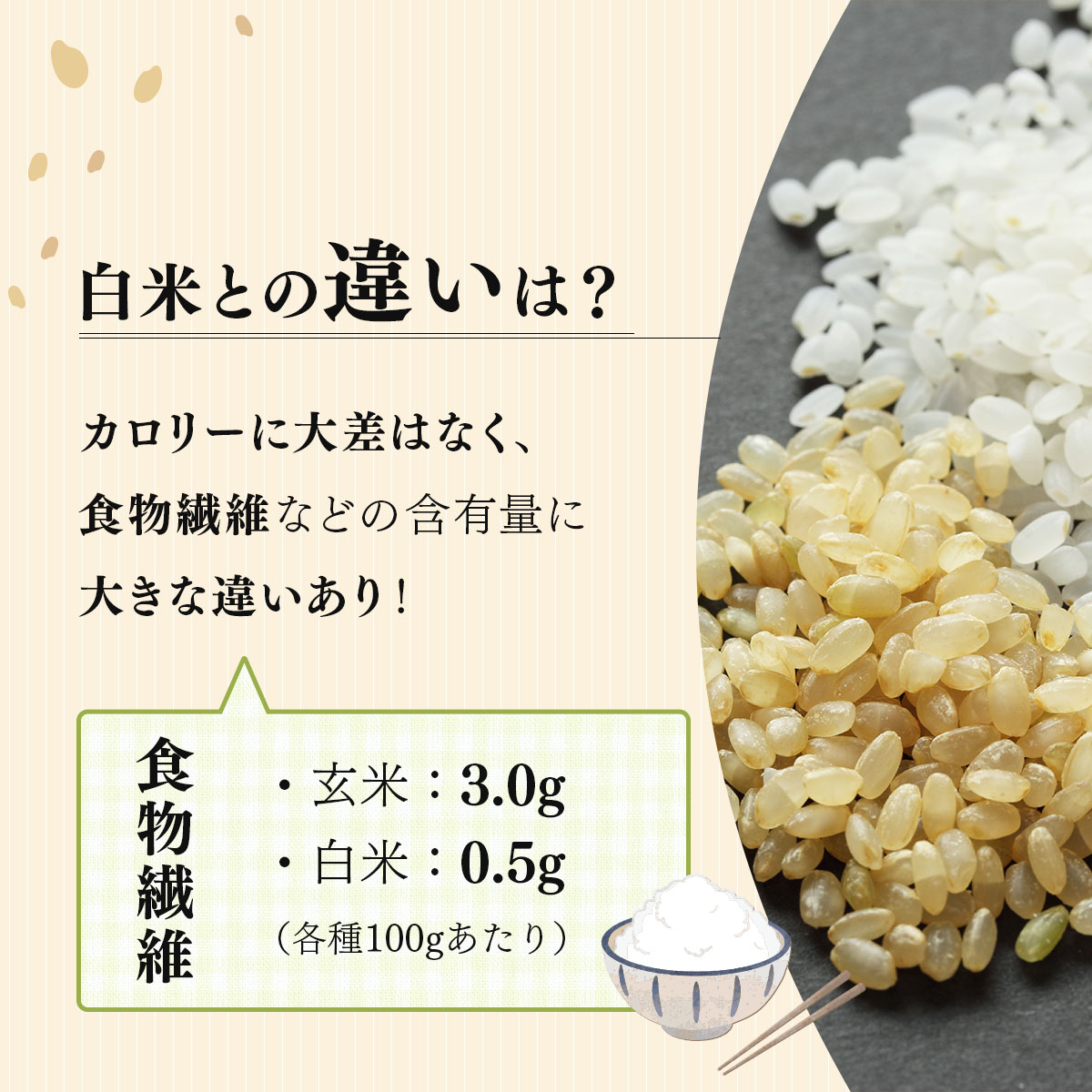 令和7年産 北海道岩見沢市産 あやひめ玄米 10kg ≪沖縄・離島配送不可≫ a124-037-R7