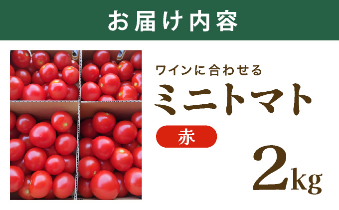 【先行販売】【ファーム雫】ワインに合わせるミニトマト赤 ２kg【a127-003】