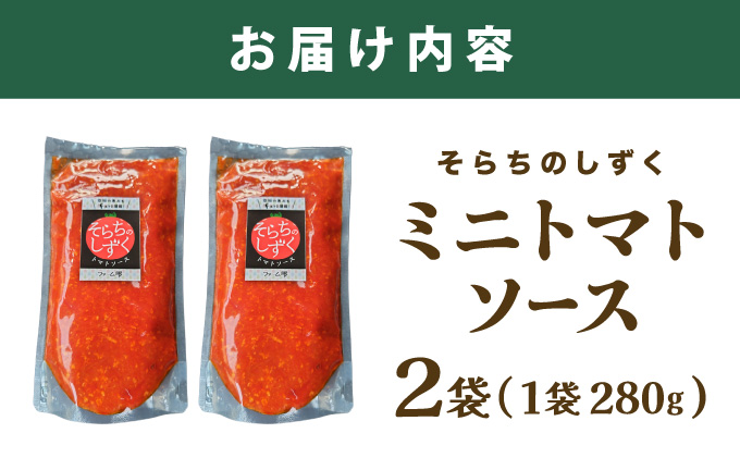 空知の恵みをギュッと凝縮 そらちのしずくトマトソース ２袋【a127-006】