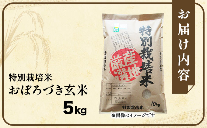 令和7年産!ファーム坂口の特別栽培米 おぼろづき玄米 5kg(5kg×1)