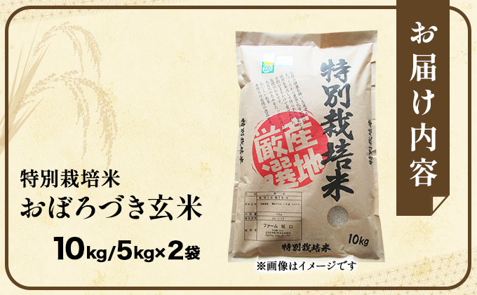 令和7年産!ファーム坂口の特別栽培米 おぼろづき玄米 10kg(5kg×2)