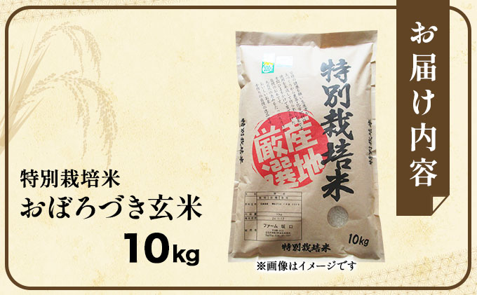 令和7年産!ファーム坂口の特別栽培米 おぼろづき玄米 10kg(10kg×1)