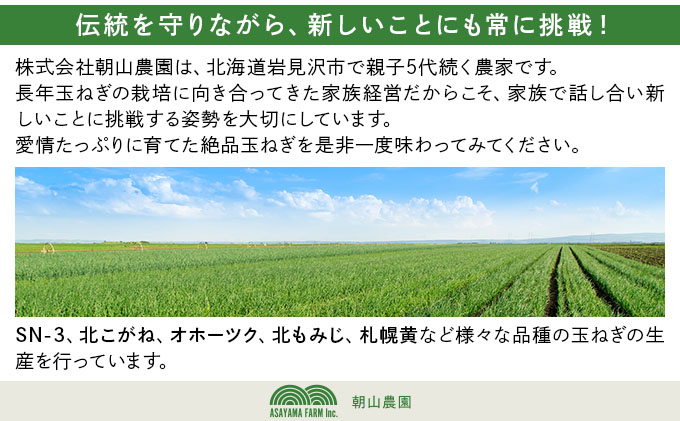 【先行予約】畑から直送の新鮮野菜！玉ねぎ（オホーツク222）5kg【a168-004】