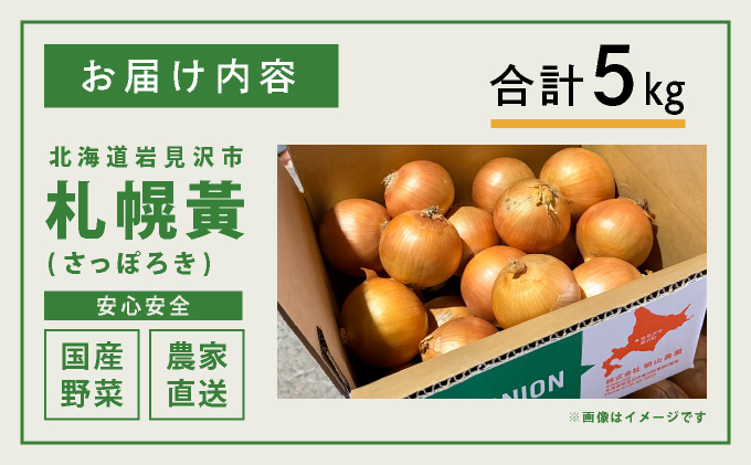 【先行予約】幻の玉ねぎ！札幌黄（さっぽろき）5kg【a168-010】 たまねぎ 玉葱 タマネギ 国産 まとめ買い 業務用 贈り物 野菜 美味しい 送料無料 新鮮野菜 健康 和食 レストラン 国産野菜 採れたて 農家直送 産地直送 北海道 岩見沢市