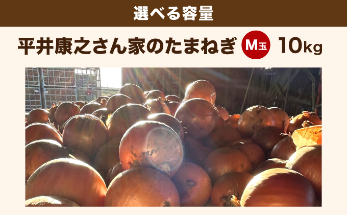 岩見沢産「平井康之さん家のたまねぎ」M玉 10kg【食絶景北海道×ゼロカーボンアワード2024 奨励賞『オニオンスナック オニカ』で使用】たまねぎ 玉葱 タマネギ 産地 まとめ買い 贈り物 甘い 野菜 北海道 送料無料 [a171-003]