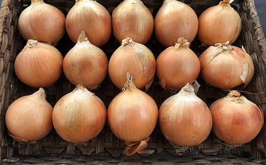 北海道岩見沢市産 玉ねぎMサイズ10kg【09126】[a107-027]