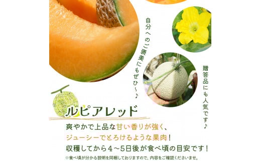 ＜先行予約＞産地直送！北海道『いわみざわメロン2玉（赤肉）』2026年夏にお届け！【18106】[a115-028]