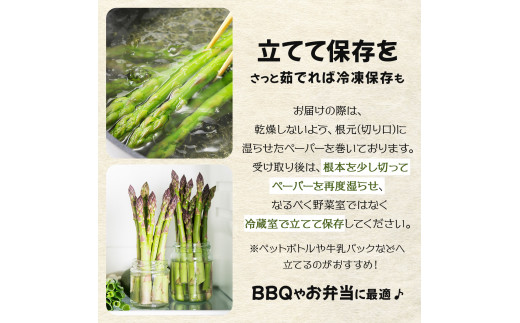 【先行予約/令和7年産】北海道岩見沢産　夏グリーンアスパラ　L～2Lサイズ 1kg【41104】[a129-002]