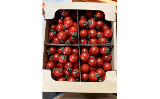 ≪先行予約≫ 完熟ミニトマト キャロルスター 2kg [a144-001]