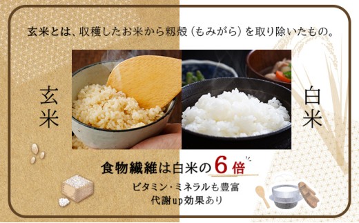 令和8年産！ファーム坂口の特別栽培米 ななつぼし玄米 5kg 5kg (5kg×1袋)