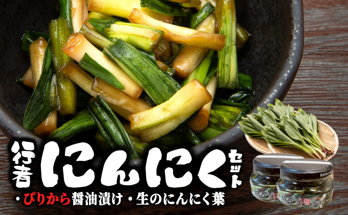 行者にんにくセット（生の行者にんにく葉・行者にんにくぴりから醤油漬けのセット）[a107-034]