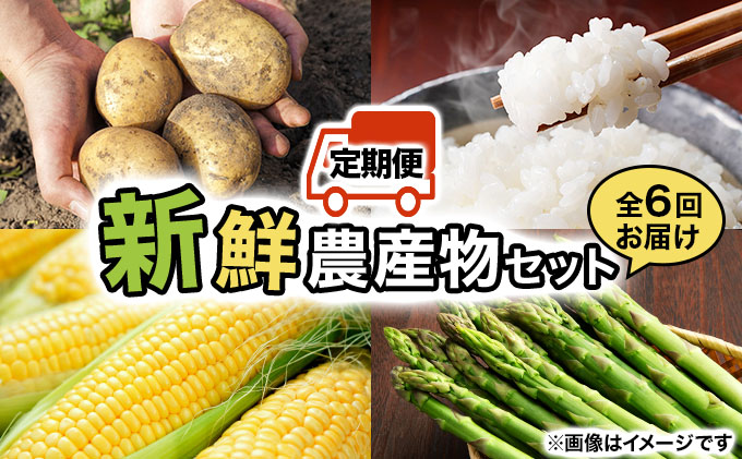いわみざわの新鮮農産物セット(5or6月～11月 全6回)※定期便【11106】[a109-006]