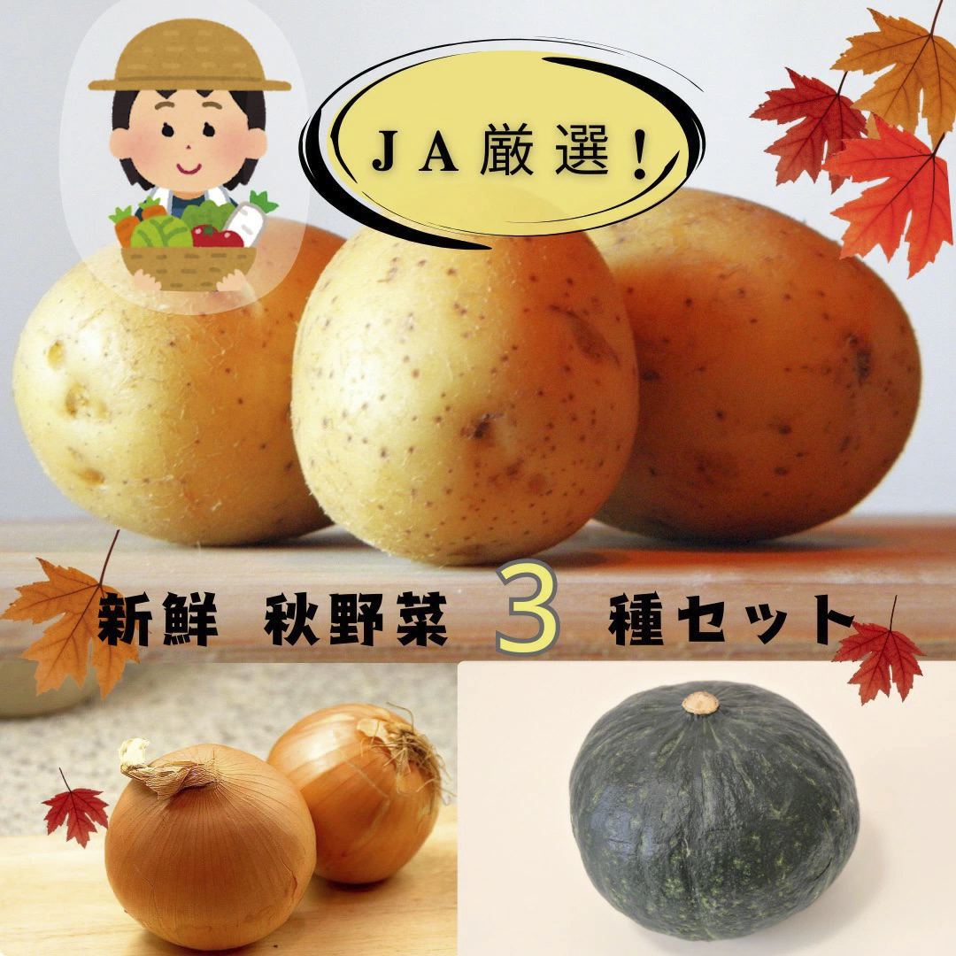 【数量&配送期間限定(2024年10月上旬～発送予定)】北海道岩見沢市産秋の味覚セット(玉ねぎ・ばれいしょ・かぼちゃ)【11113】[a109-013]