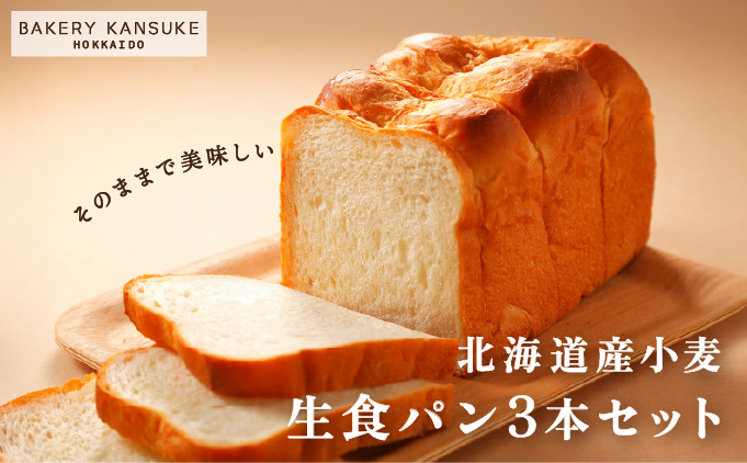 そのままでしっとりモチモチおいしい生食パン！北海道産小麦の生食パン3本セット【19115】[a116-015]
