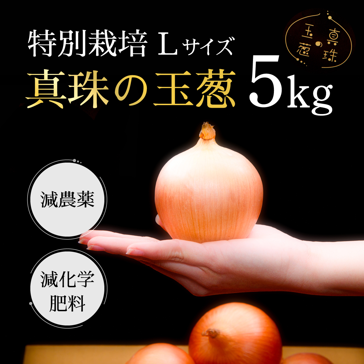 真珠の玉葱 特別栽培Lサイズ5kg ≪海のミネラルで育てた特別栽培玉葱≫【50101】[a134-001]