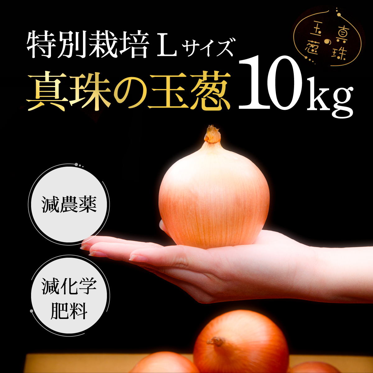 真珠の玉葱 特別栽培Lサイズ10kg ≪海のミネラルで育てた特別栽培玉葱≫【50102】[a134-002]
