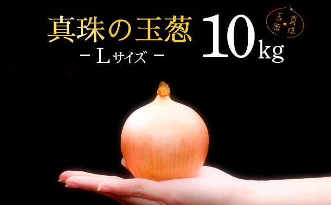 真珠の玉葱 Lサイズ10kg ≪海のミネラルで育てた玉葱≫【50104】[a134-004]