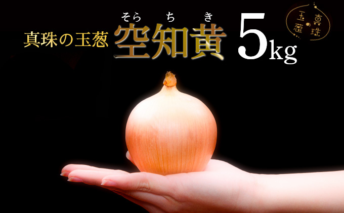真珠の玉葱 空知黄 5kg ≪海のミネラルで育てた幻の玉葱空知黄≫【50105】[a134-005]