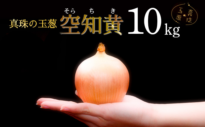 真珠の玉葱 空知黄10kg ≪海のミネラルで育てた幻の玉葱空知黄≫【50106】[a134-006]
