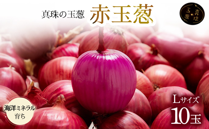 真珠の玉葱 赤玉葱Lサイズ10玉 ≪海のミネラルで育てた特別栽培玉葱≫【50107】[a134-007]