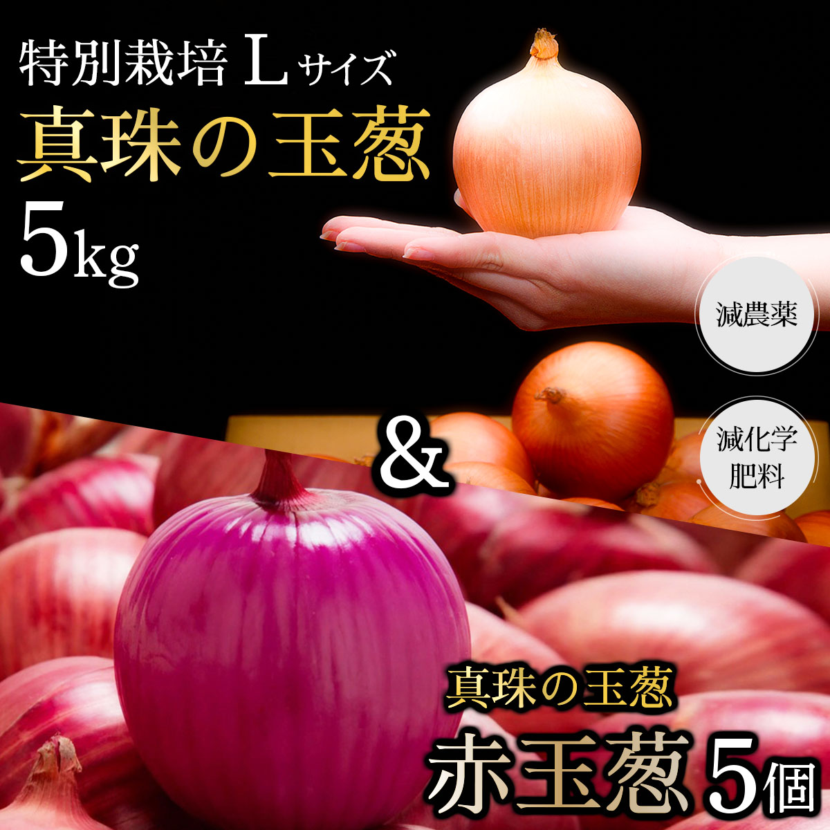 真珠の玉葱 特別栽培Lサイズ5kg (赤玉葱5個入り)≪海のミネラルで育てた特別栽培玉葱≫【50108】[a134-008]