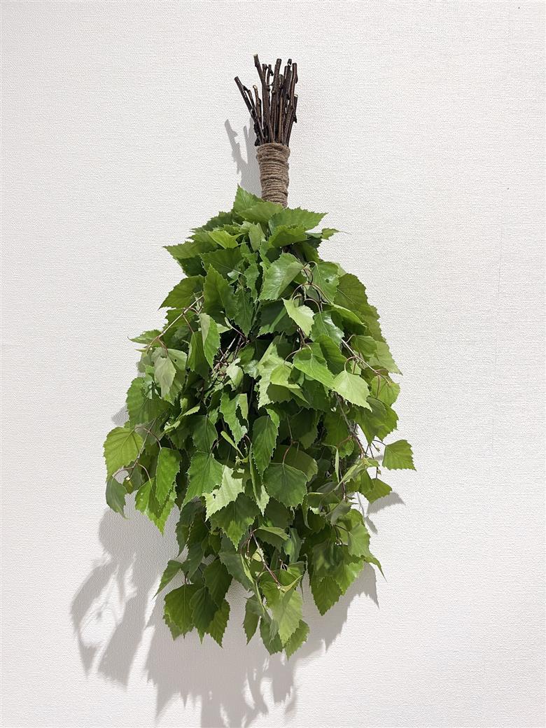 美流渡の森　白樺フレッシュヴィヒタ 【a110-067】