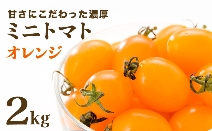 【先行販売】【ファーム雫】甘さにこだわった濃厚オレンジミニトマト ２kg【a127-004】