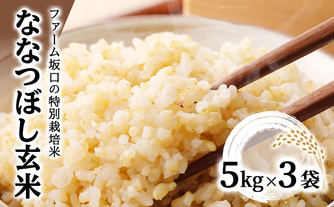 令和7年産！ファーム坂口の特別栽培米 ななつぼし玄米 15kg(5kg×3)