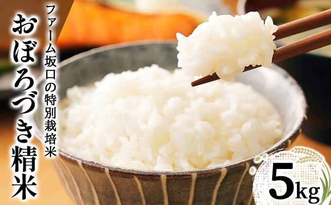 令和7年産!ファーム坂口の特別栽培米 おぼろづき精米 5kg