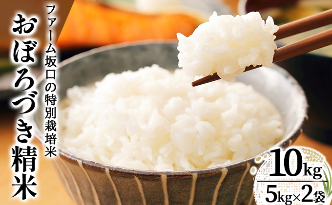 令和7年産!ファーム坂口の特別栽培米 おぼろづき精米 10kg(5kg×2)