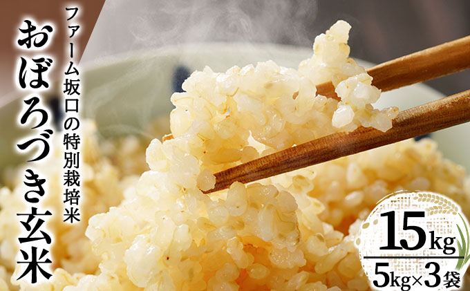 令和7年産!ファーム坂口の特別栽培米 おぼろづき玄米 15kg(5kg×3)