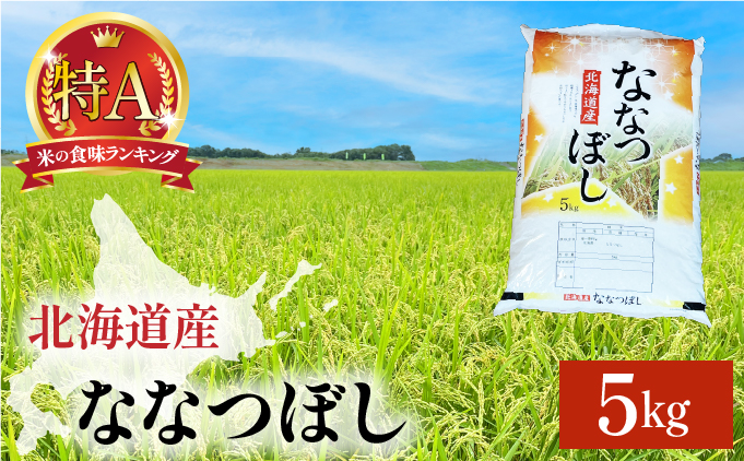 令和7年産 岩見沢産 ななつぼし 5kg 精米【a161-001】