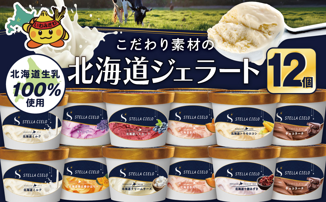 STELLA CIELO 北海道ジェラート12個 | 北海道ミルク チョコラータ 北海道クリームチーズ 北海道十勝あずき 北海道恵比寿かぼちゃ 北海道赤肉メロン 北海道ハスカップ ラベンダー 北海道トウモロコシ