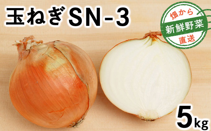 【先行予約】畑から直送の新鮮野菜！玉ねぎ（SN-3）5kg【a168-001】