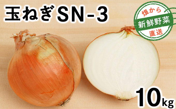 【先行予約】畑から直送の新鮮野菜！玉ねぎ（SN-3）10kg【a168-002】