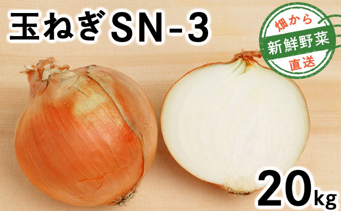 【先行予約】畑から直送の新鮮野菜！玉ねぎ（SN-3）20kg【a168-003】