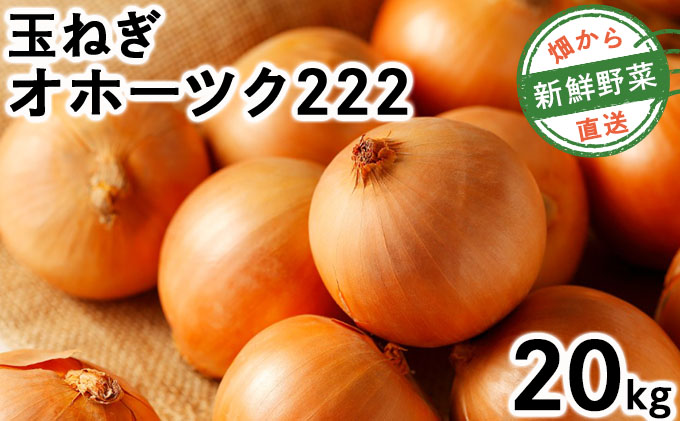 【先行予約】畑から直送の新鮮野菜！玉ねぎ（オホーツク222）20kg【a168-006】