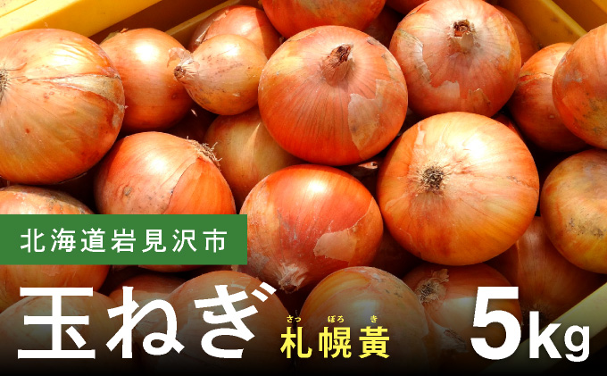 【先行予約】幻の玉ねぎ！札幌黄（さっぽろき）5kg【a168-010】 たまねぎ 玉葱 タマネギ 国産 まとめ買い 業務用 贈り物 野菜 美味しい 送料無料 新鮮野菜 健康 和食 レストラン 国産野菜 採れたて 農家直送 産地直送 北海道 岩見沢市