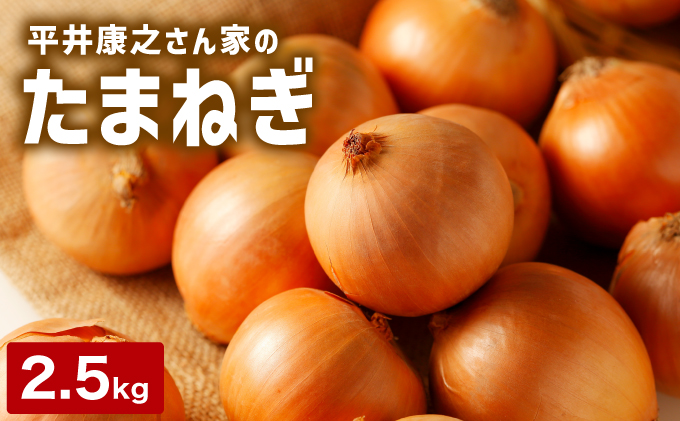 岩見沢産「平井康之さん家のたまねぎ」M玉 2.5kg【食絶景北海道×ゼロカーボンアワード2024 奨励賞『オニオンスナック オニカ』で使用】たまねぎ 玉葱 タマネギ 産地 まとめ買い 贈り物 甘い 野菜 北海道 送料無料 [a171-001]