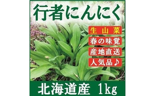 ≪先行予約≫ 令和7年産 行者にんにく葉(生) 1kg≪数量限定・4/20締め切り≫ 【09122】[a107-032]