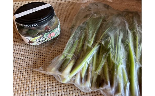 行者にんにくセット（生の行者にんにく葉・行者にんにくぴりから醤油漬けのセット）[a107-034]