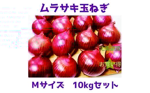 【北海道岩見沢市産】紫玉ねぎMサイズ 10kg【09116】[a107-026]